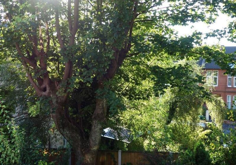 Fotos del hotel Claremont House B&b:  5