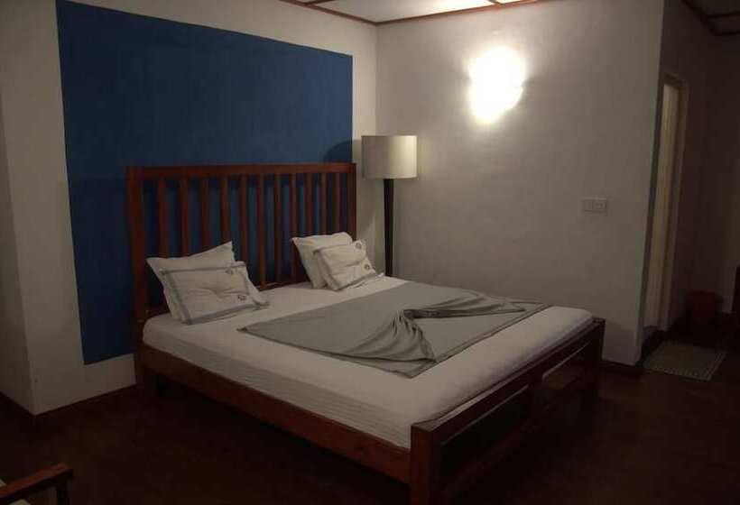 Cool Feel Restaurant