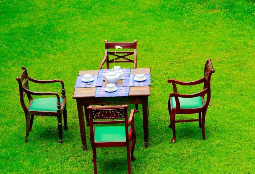 Fotos del hotel Green Forest:  10