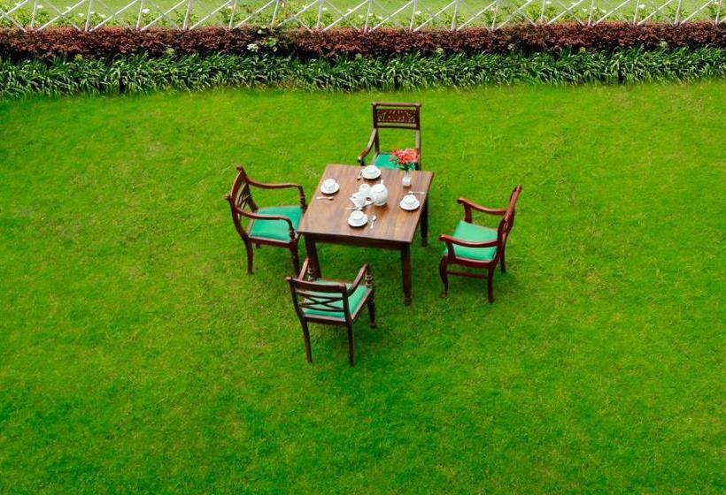 Fotos del hotel Green Forest:  15