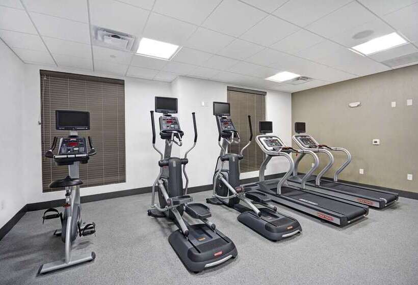 Fotos del hotel Hilton Garden Inn Houston Hobby Airport:  14