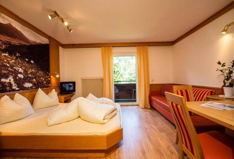 Fotos del hotel Appart Panorama:  14