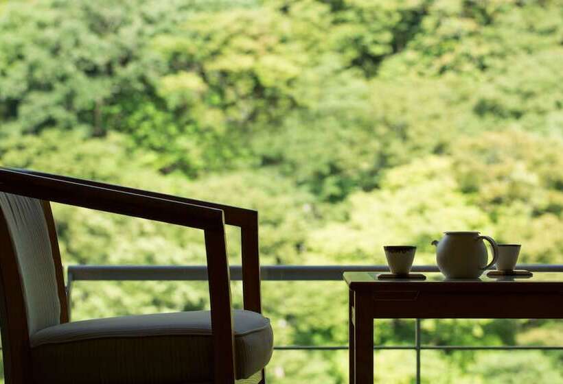 Fotos del hotel Hoshino Resorts Kai Kawaji:  7