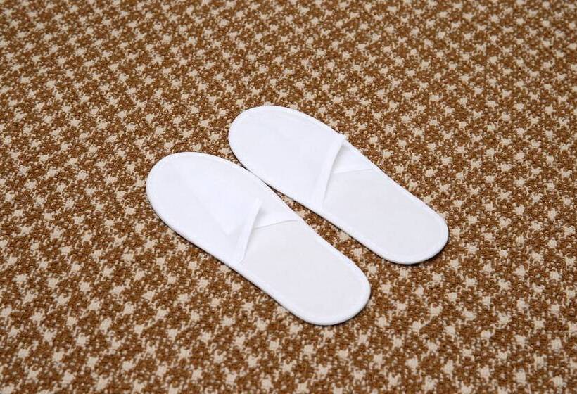 Fotos del hotel Keio Presso Inn Tokyo Kudanshita:  19