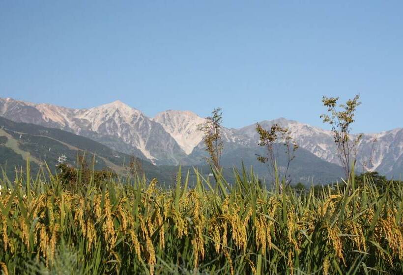 Fotos del hotel Stelle Belle:  23