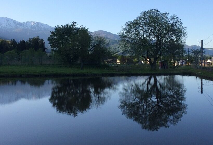 Fotos del hotel Stelle Belle:  20