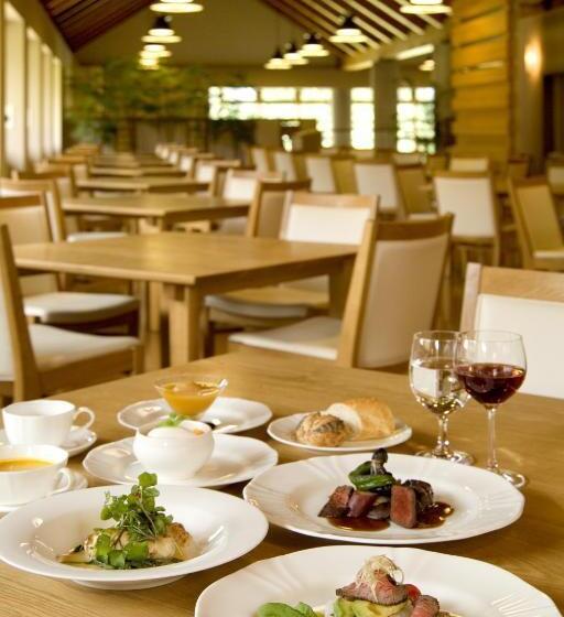 Fotos del hotel Toyota Shirakawa-go Eco-institute:  16