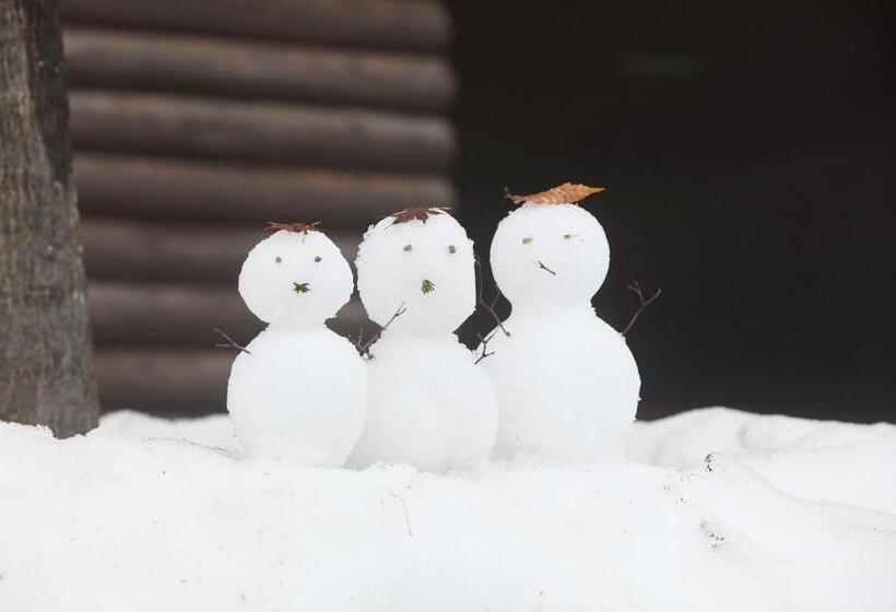 Fotos del hotel Toyota Shirakawa-go Eco-institute:  6