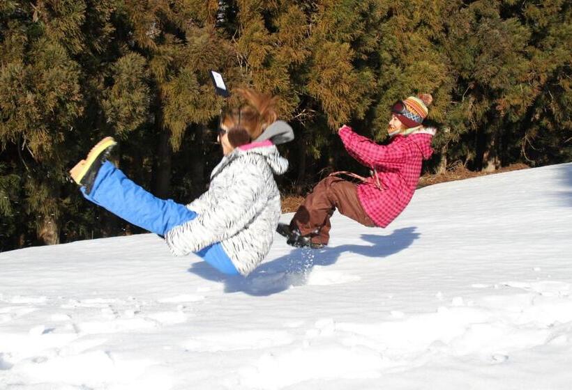 Fotos del hotel Toyota Shirakawa-go Eco-institute:  18