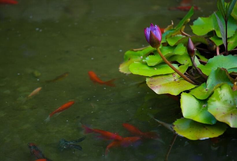 Fotos del hotel Yangshuo Ancient Garden Boutique:  5