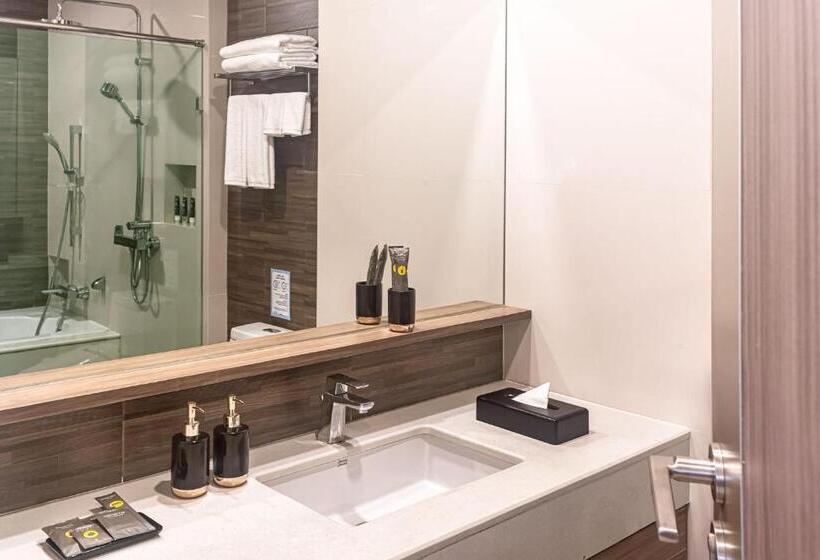 Fotos del hotel Metropole Residence:  17