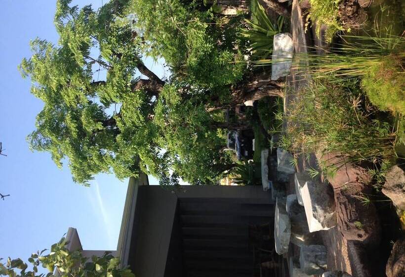 Fotos del hotel Green Garden Resort:  16