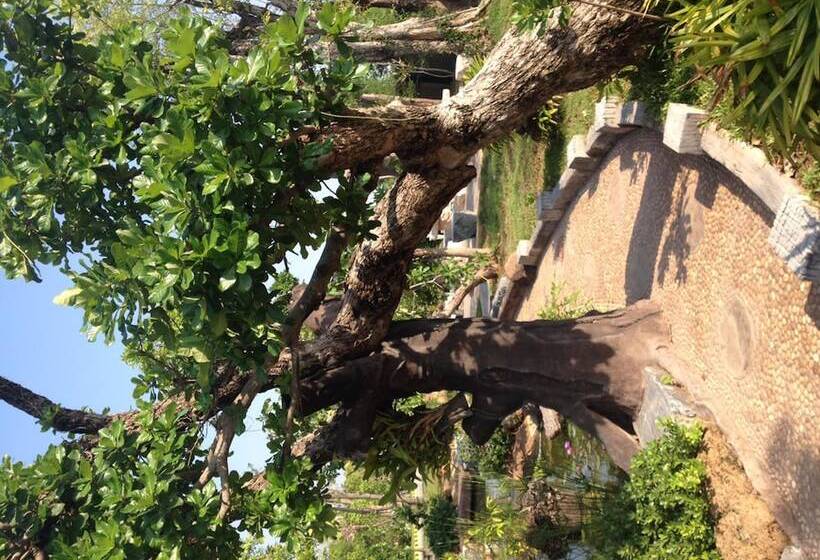 Fotos del hotel Green Garden Resort:  3