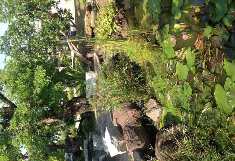 Fotos del hotel Green Garden Resort:  13