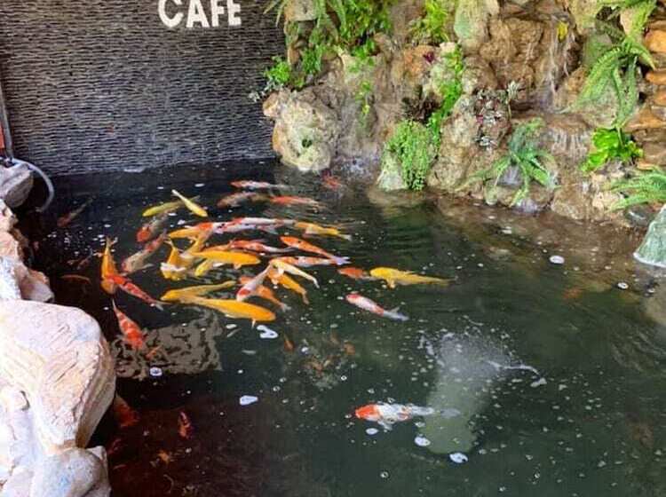 Fotos del hotel Khamy Riverside Resort:  9