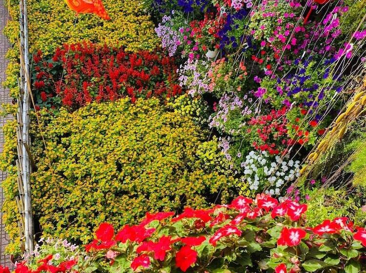 Fotos del hotel Khamy Riverside Resort:  5