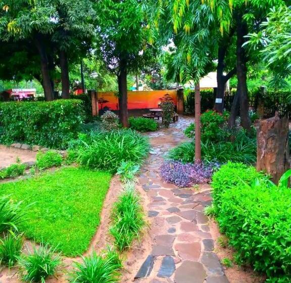 Fotos del hotel Olga's The Italian Corner:  3