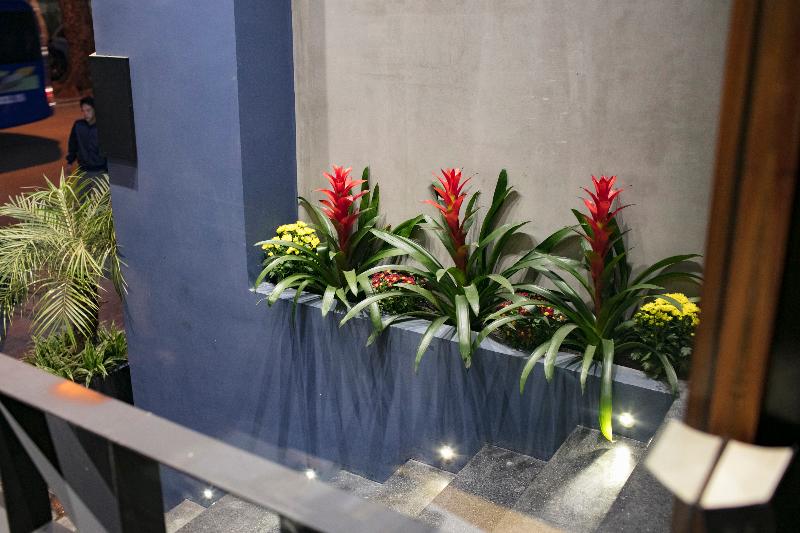 Fotos del hotel The Art Classic Hotel & Spa:  7