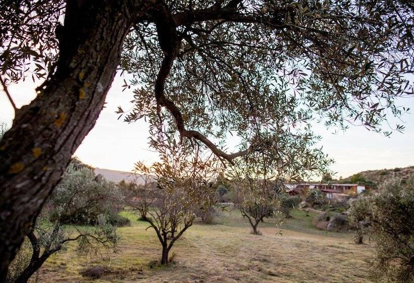 Fotos del hotel Mas Del Bot:  21