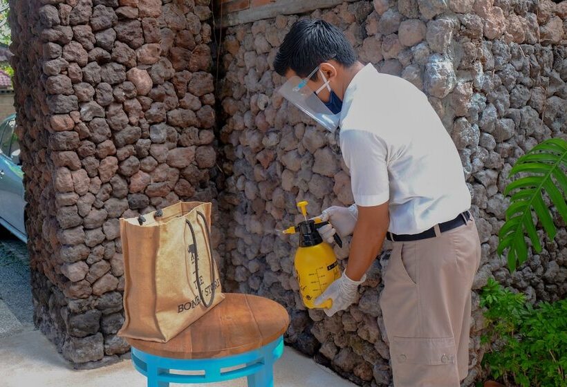 Fotos del hotel Alam Candi Dive Resort:  18