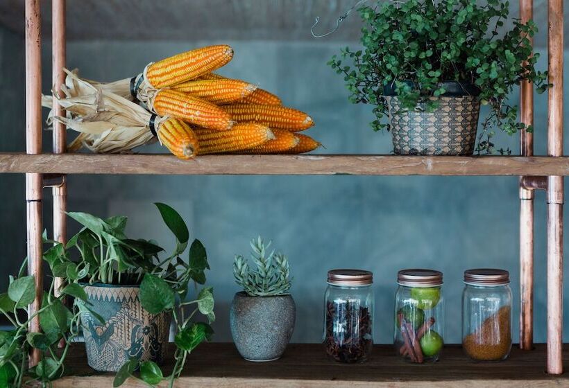 Fotos del hotel Alam Candi Dive Resort:  10