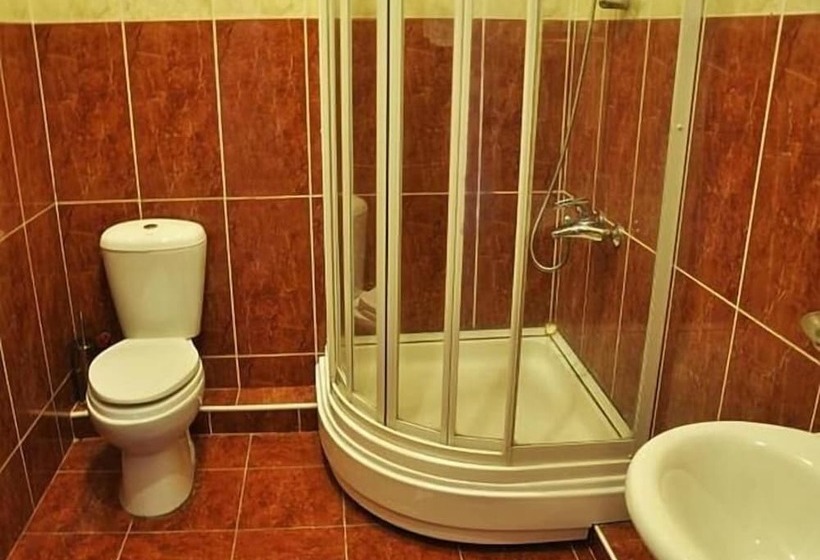 Fotos del hotel Gold Star Tbilisi:  4