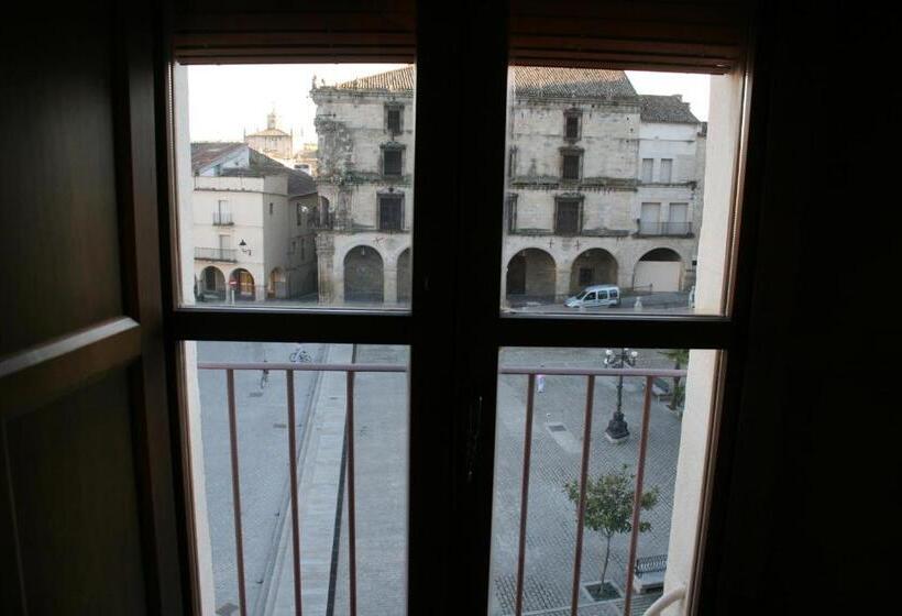 Fotos del hotel Alojamientos Plaza Mayor:  7