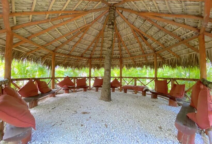 Fotos del hotel Ducassi Suites Rooftop Pool Beach Club & Spa:  9