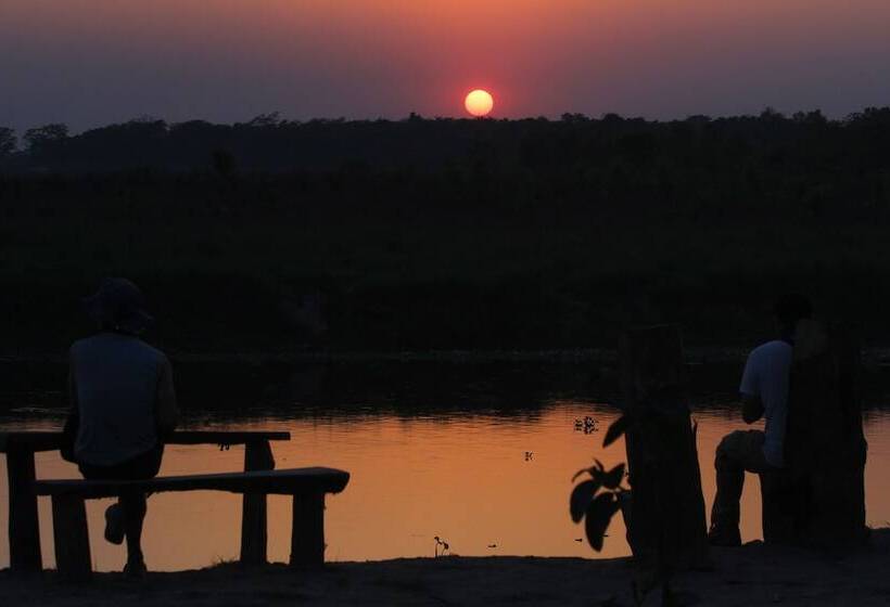 Fotos del hotel Jungle Sunset Camp:  8