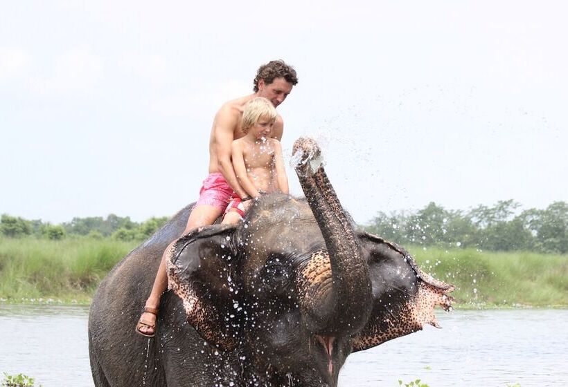 Fotos del hotel Jungle Sunset Camp:  9