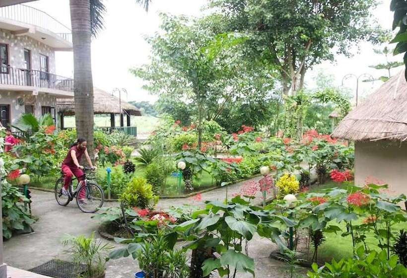 Fotos del hotel Jungle Sunset Camp:  12