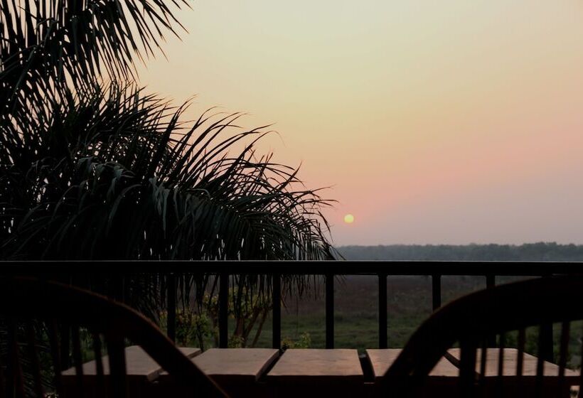 Fotos del hotel Jungle Sunset Camp:  13