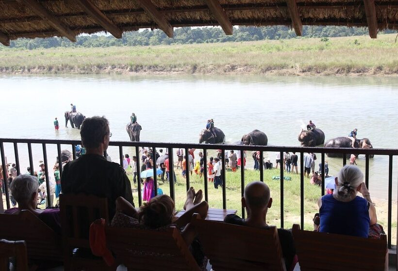 Fotos del hotel Jungle Sunset Camp:  18