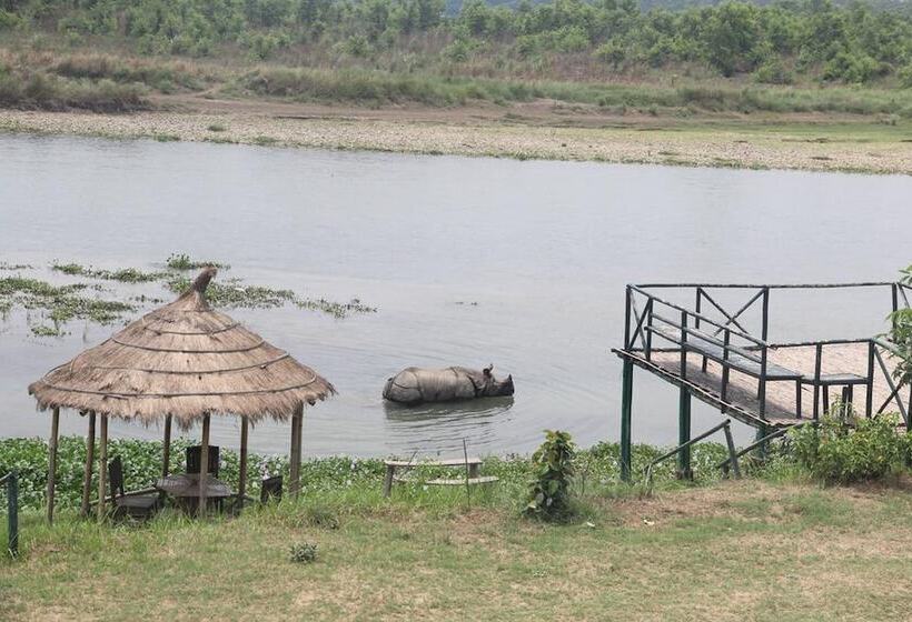 Fotos del hotel Jungle Sunset Camp:  21