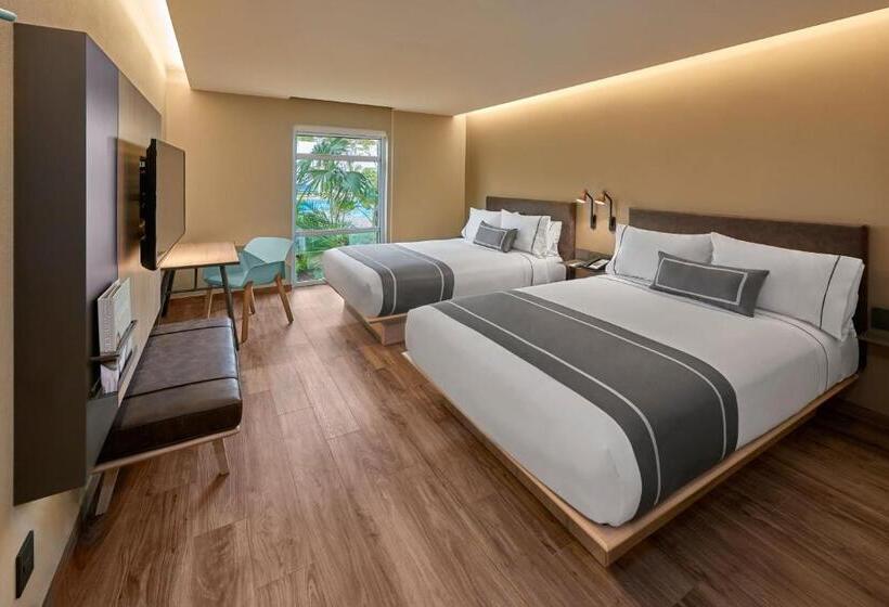 Fotos del hotel City Express Plus Cancun Aeropuerto Riviera:  15