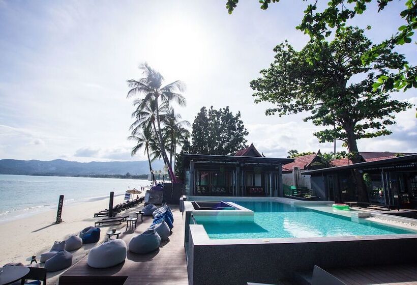 Fotos del hotel Lub D Koh Samui Chaweng Beach:  14