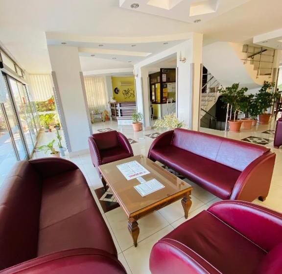 Fotos del hotel Lemon:  12