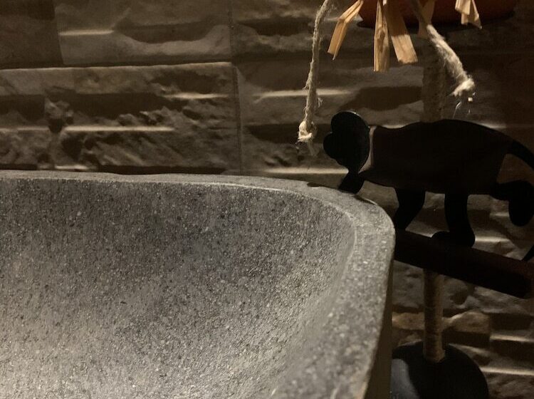 Fotos del hotel Residence S:  9