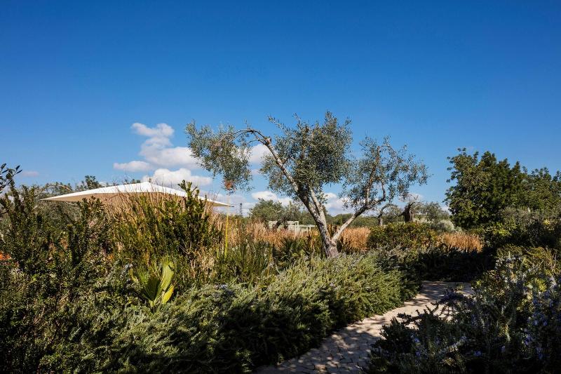 Fotos del hotel Fazenda Nova  Country House:  11