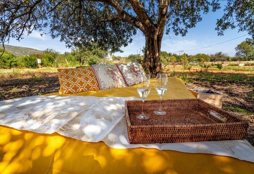 Fotos del hotel Mercedes Country House:  20