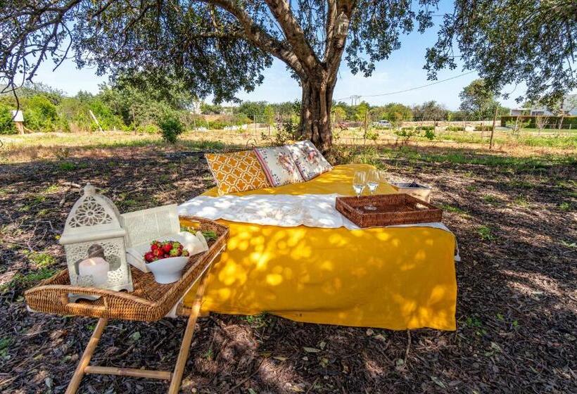 Fotos del hotel Mercedes Country House:  19