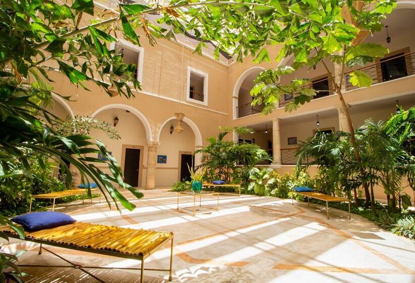 Fotos del hotel Merida:  13