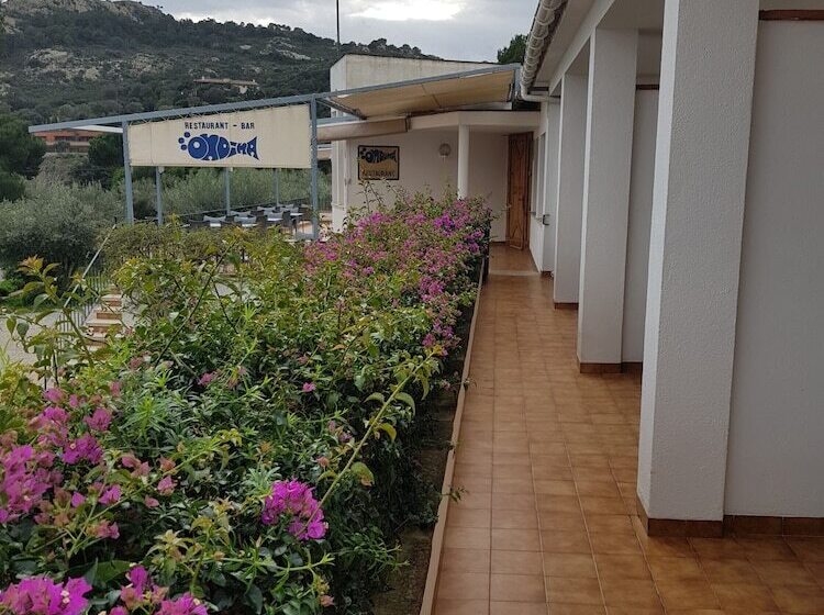 Fotos del hotel Hostal Ondina:  17