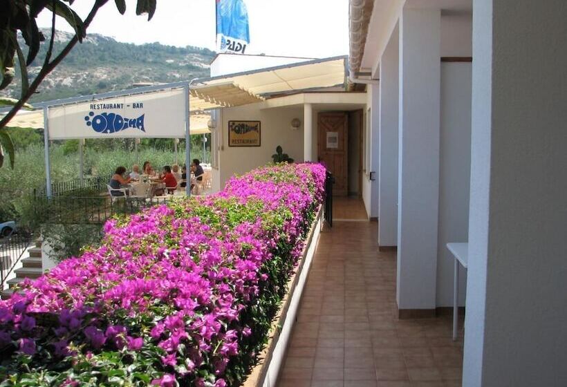 Fotos del hotel Hostal Ondina:  23