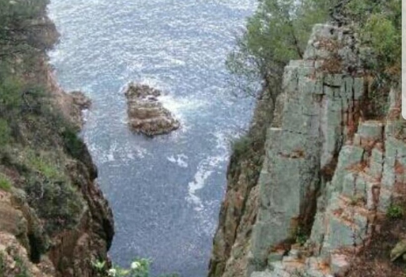 Fotos del hotel Hostal Ondina:  25