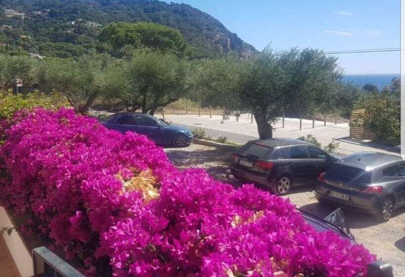 Fotos del hotel Hostal Ondina:  3