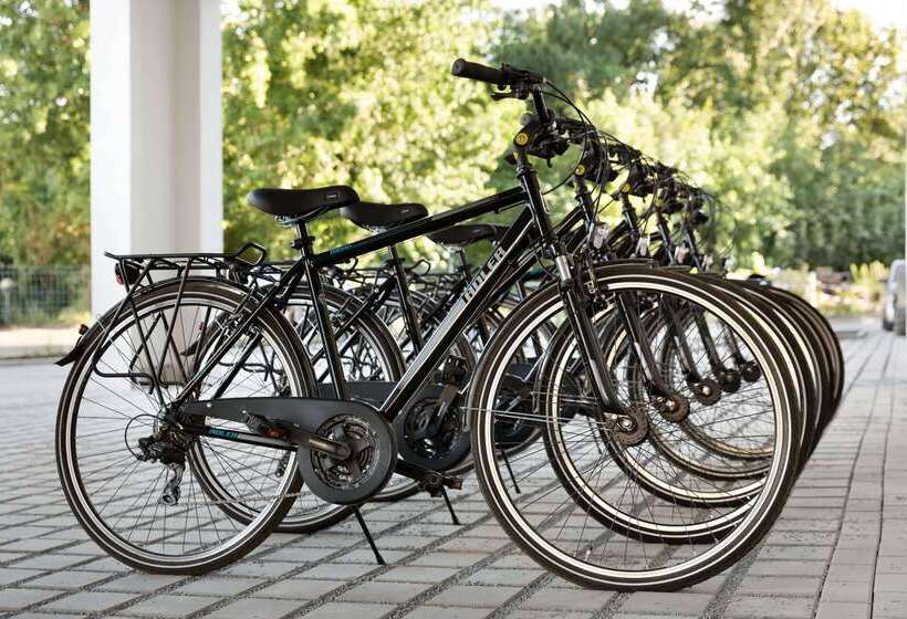 Fotos del hotel Super 8 By Wyndham Dresden:  15