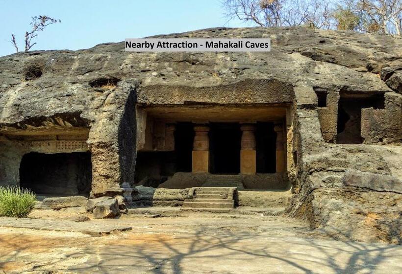 Fotos del hotel Oyo 10006 Hotel Blue Bay:  24