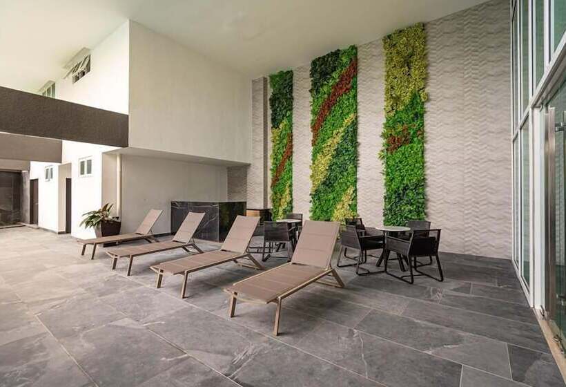 Fotos del hotel Ames:  4