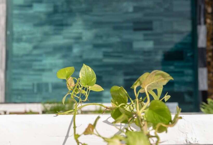 Fotos del hotel Babylon Villa:  20